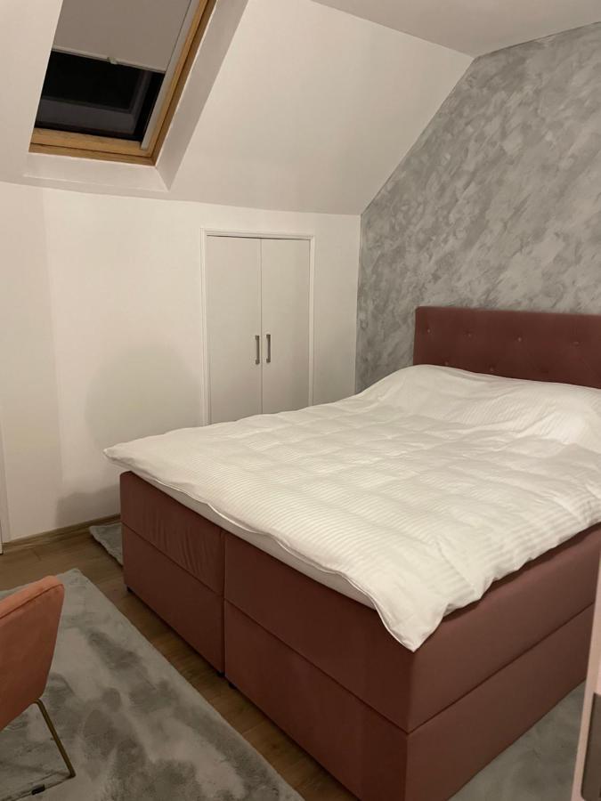 דירות Bistriţa Sofia Loft מראה חיצוני תמונה