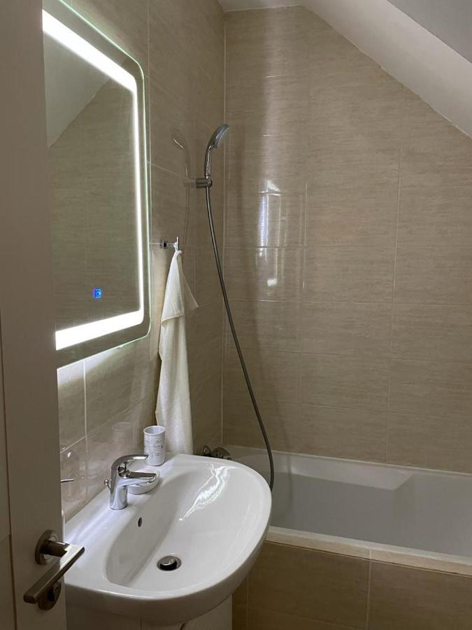 דירות Bistriţa Sofia Loft מראה חיצוני תמונה